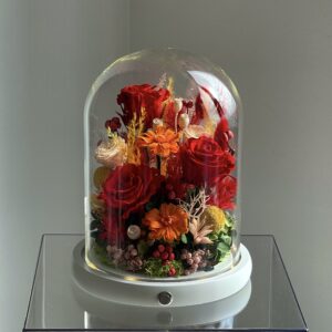 Everlasting Light Dome Red(Large)